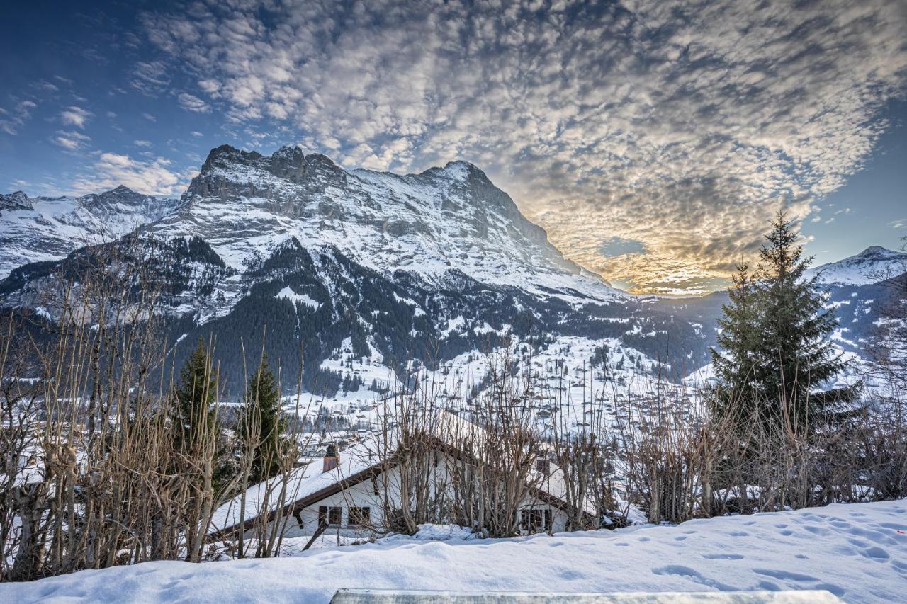 Chalet Weid - Aare Jungfrau Ag Grindelwald Exteriör bild
