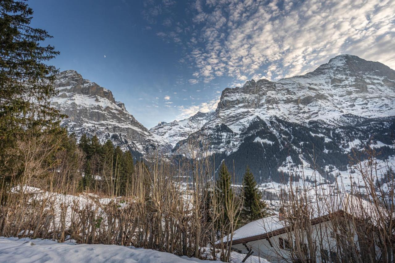 Chalet Weid - Aare Jungfrau Ag Grindelwald Exteriör bild